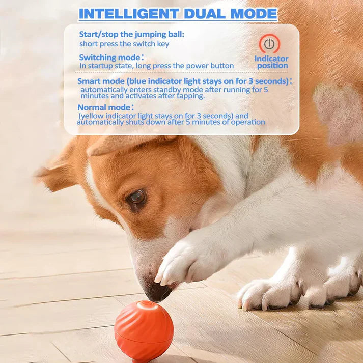 Active Rolling Ball Anti-Anxiety Automatic Moving Ball